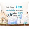 Canastilla Bebe Con Cojin Natalicio Personalizado